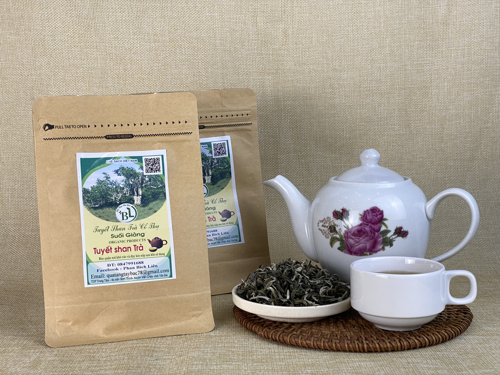 Cách pha trà Tuyết Shan cổ thụ